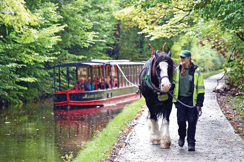 Llangollen Horse Drawn Boat Trip