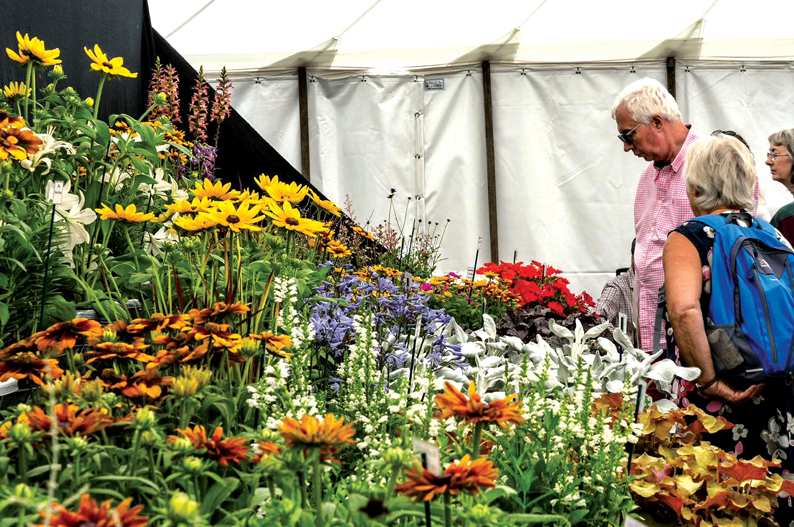 Sandringham RHS Flower Show