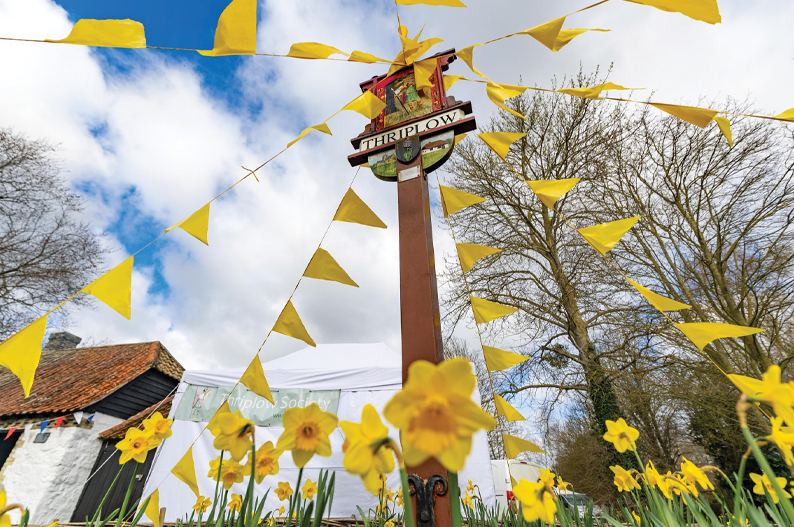 Thriplow Daffodil & Country Fair