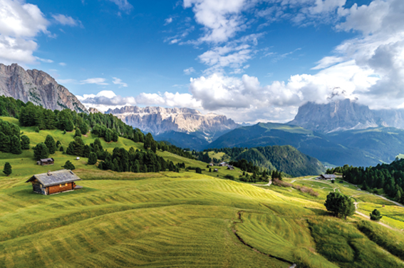 Austrian Adventure