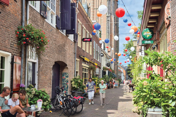 Dutch Delights